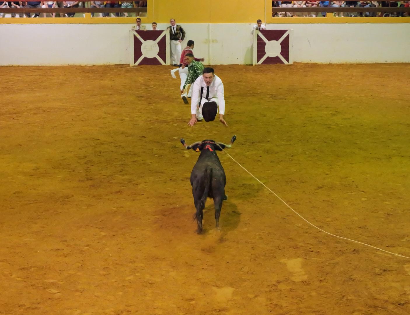 22-P1018401.JPG
