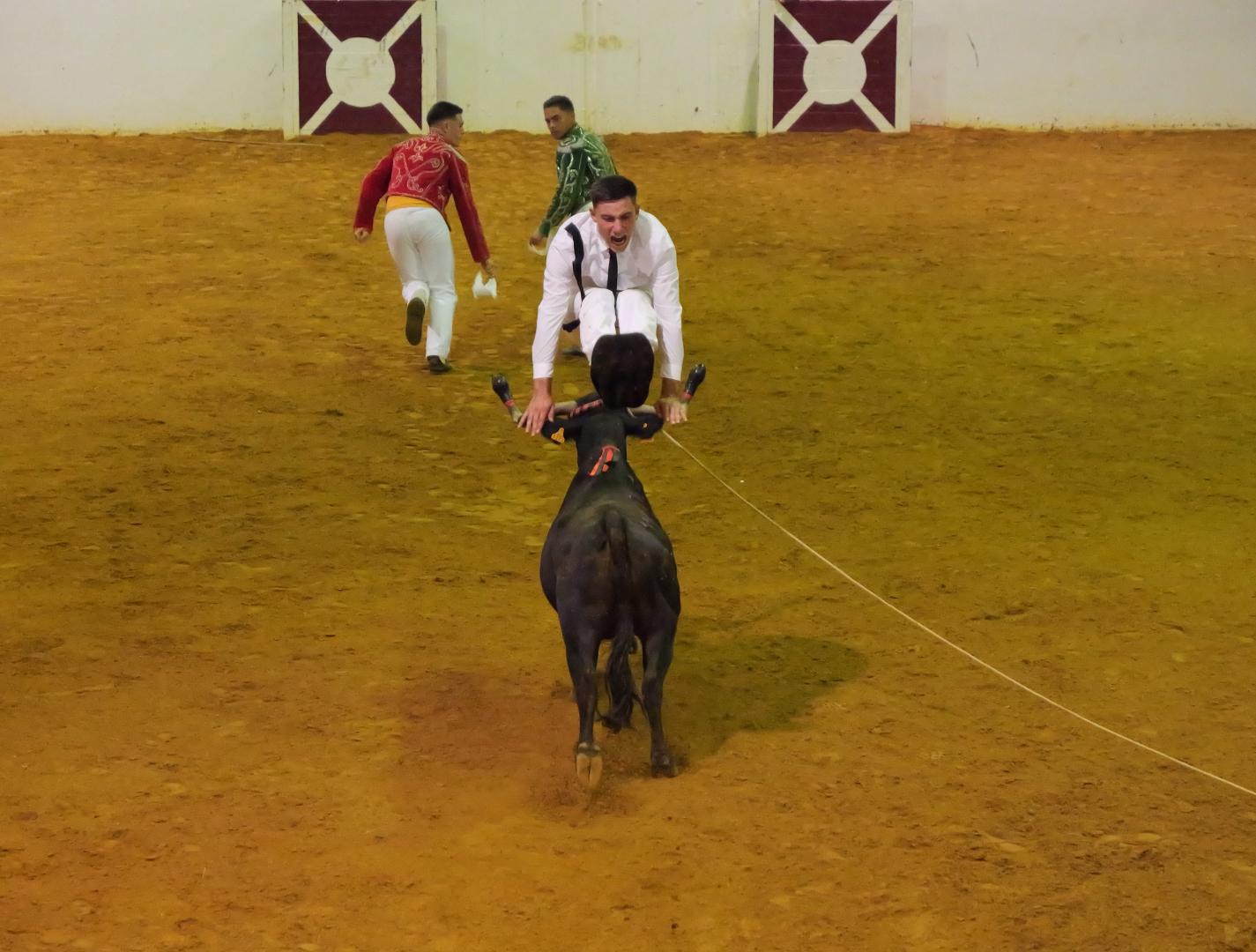 20-P1018418.JPG