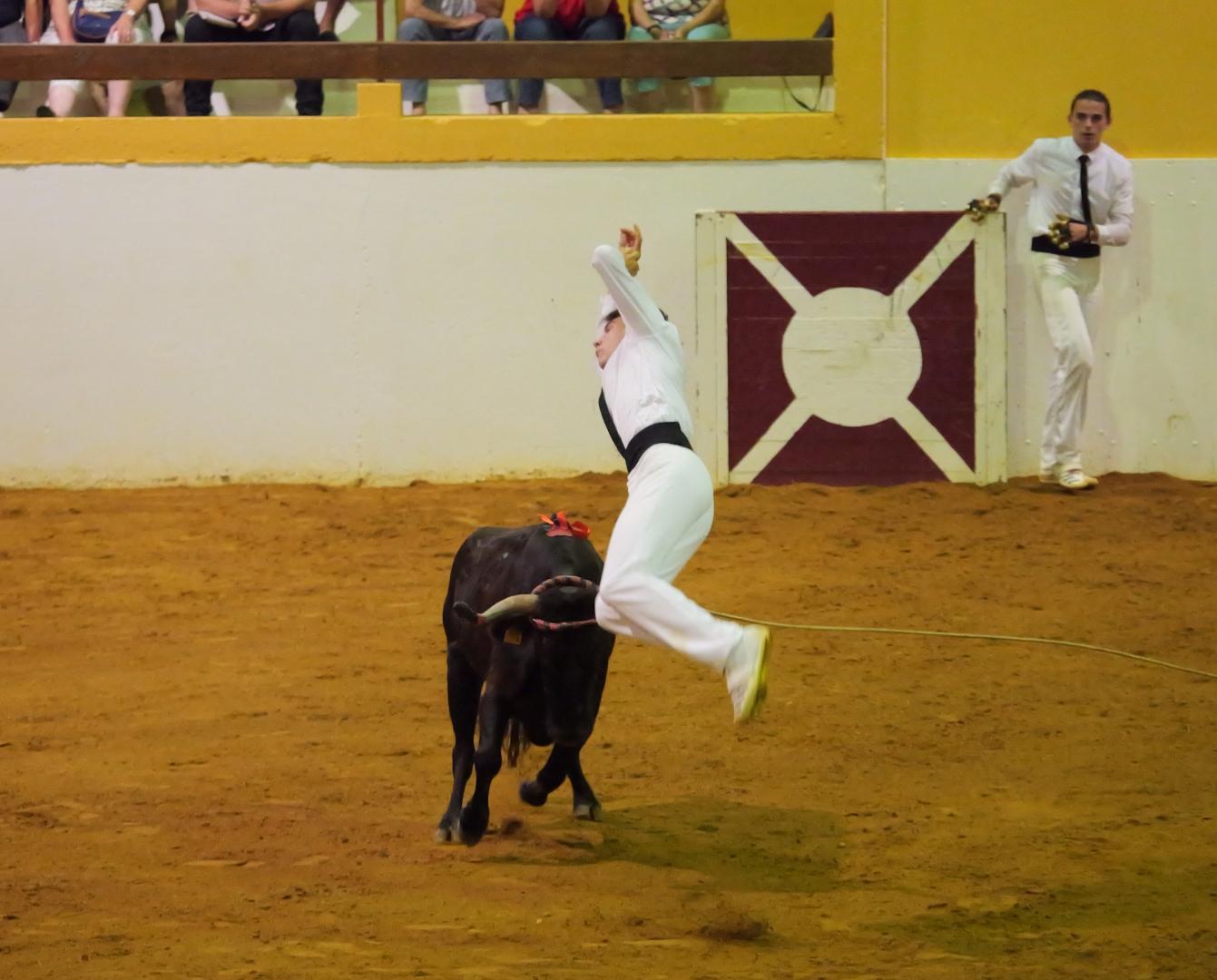 17-P1018331.JPG