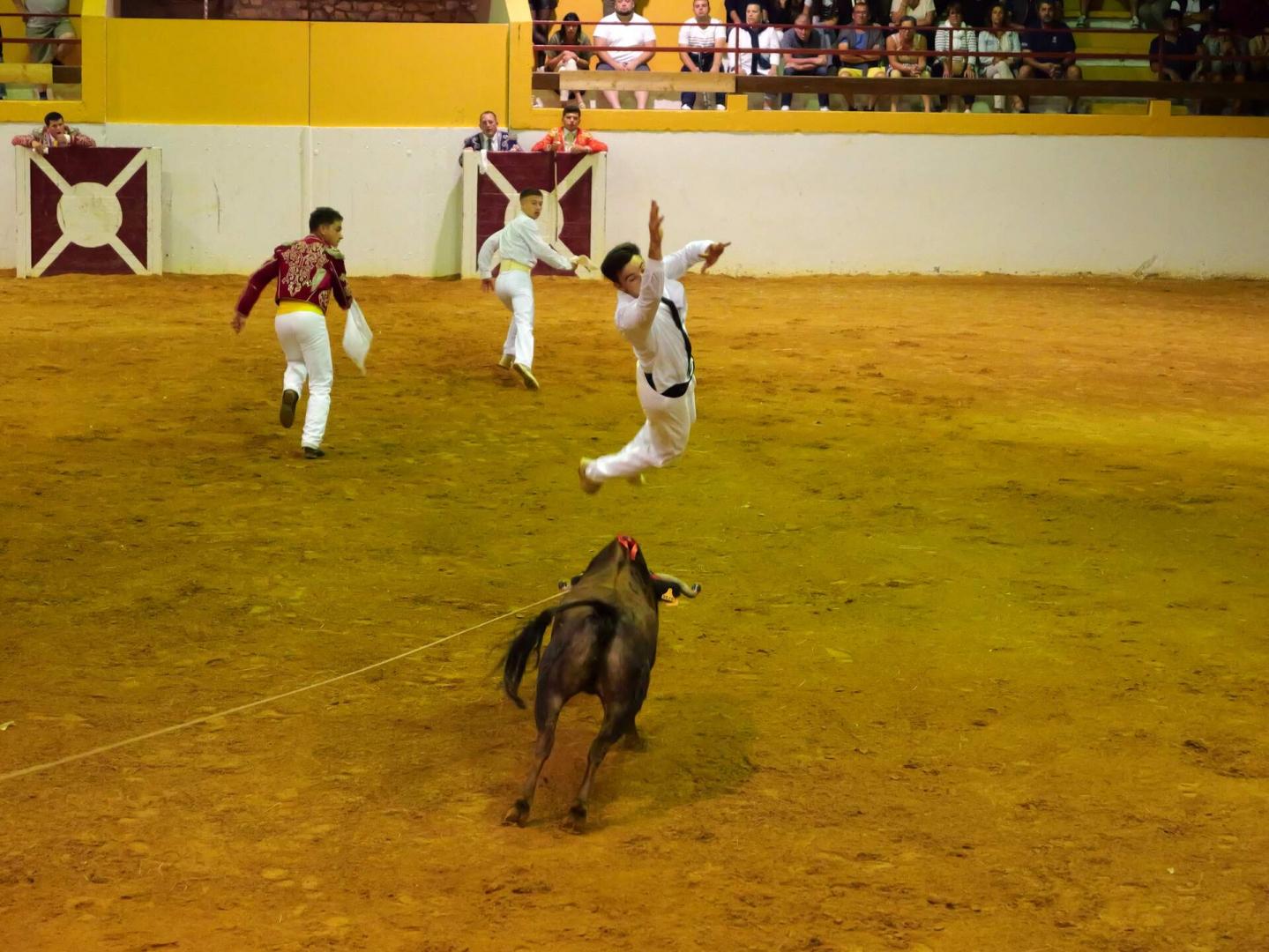 19-P1002509.jpg