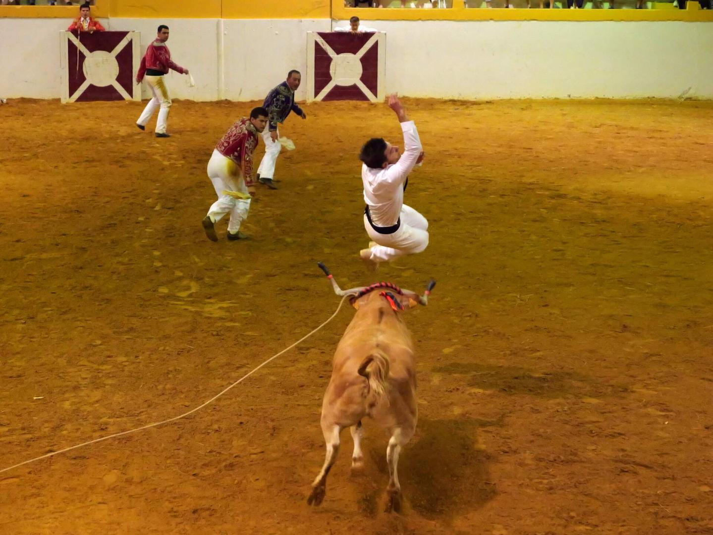 21-P1002904.jpg